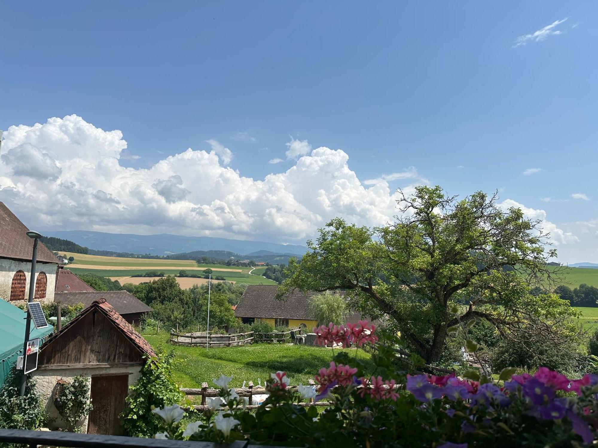 Gasthof Winkelwirt Althofen  المظهر الخارجي الصورة