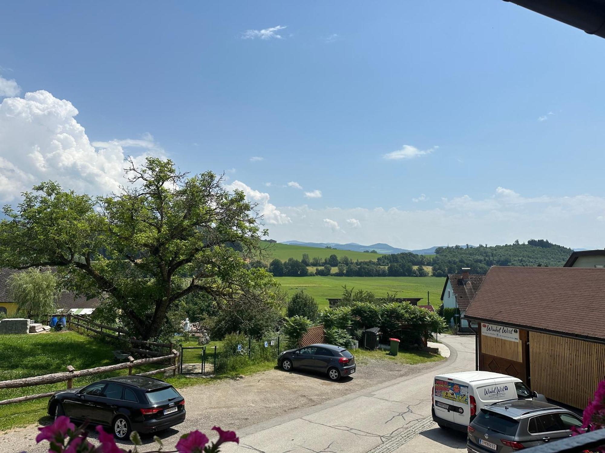 Gasthof Winkelwirt Althofen  المظهر الخارجي الصورة